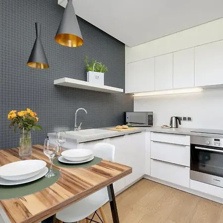 Baltin With Gym Sauna & Swimming Pool By Renters